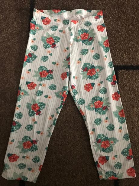 Leginy, palomino,140