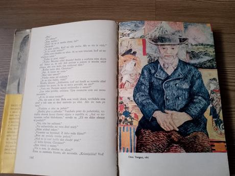 Irving stone - smäd po živote, 