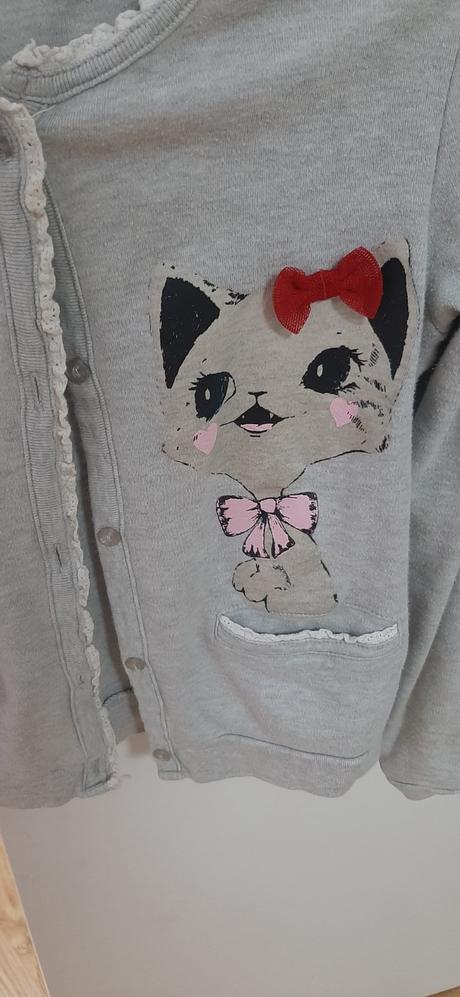 Svetrik s macickou, 116