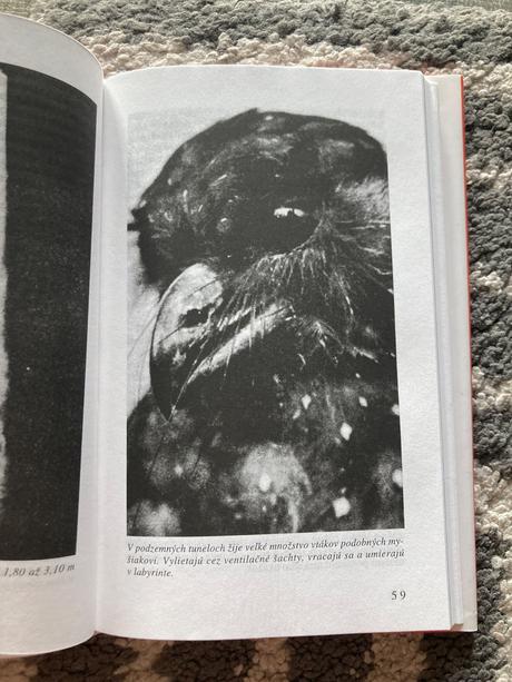 Posolstvo z vesmíru (1996),