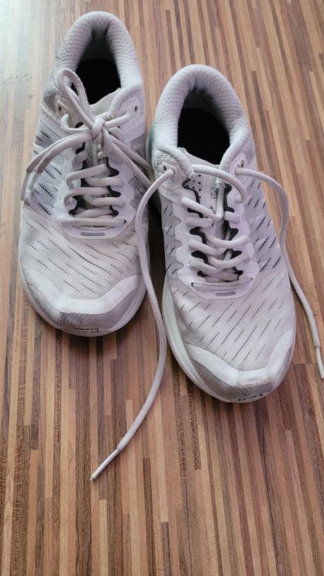 Biele solomon botesky, 36