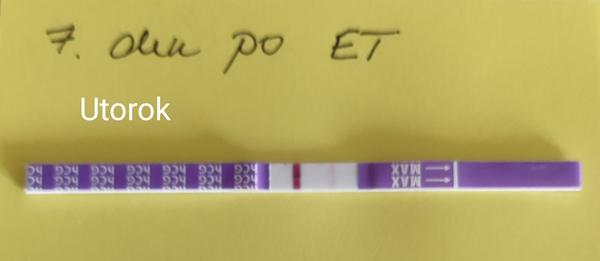 Testy po IVF
