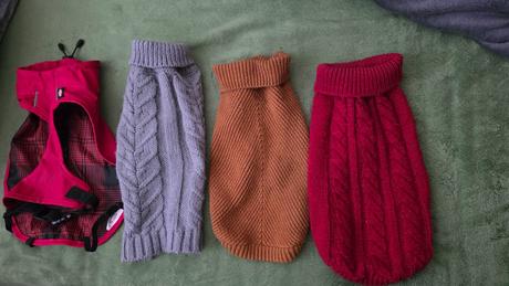 Oblecenie pre psika mendieho vzrastu, 