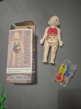 Edukacna hra ľudské telo, 