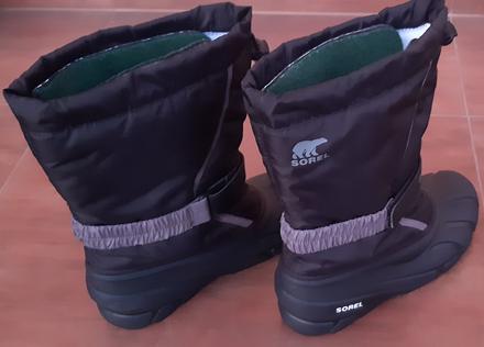 Snehule sorel, sorel,38