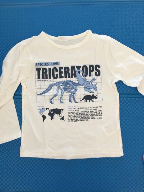 Tričká s dlhým rukávom 116, mango,116