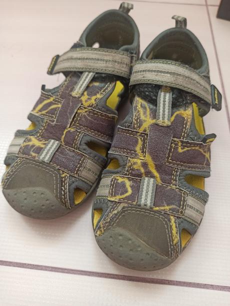 Pediped sahara, pediped,26