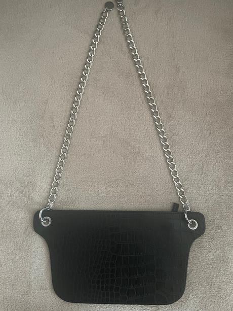 Ľadvinka na striebornej retiazke, 