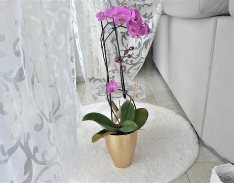 Zlatý kovový tepaný kvetináč na orchideu,