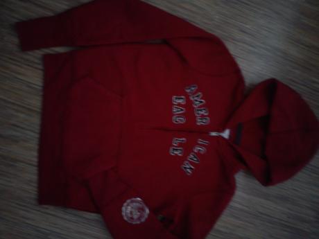 Mikina s kapucou a zlatymi aplikaciami, american eagle,s