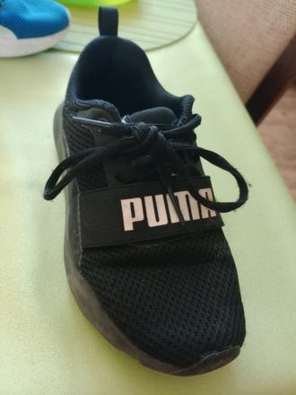 Botasky, puma,32