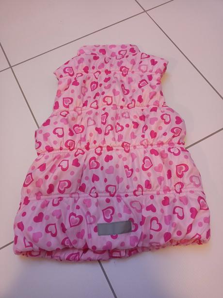 Dievčenská vesta, 110