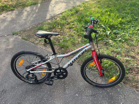 Author record 20, author,20