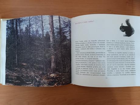 Marta šurinová - kde bývajú zvieratá (1988), 