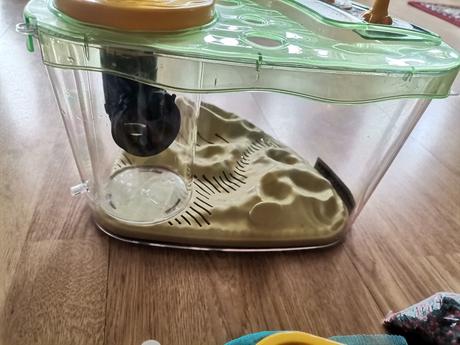 Albi akvarium,