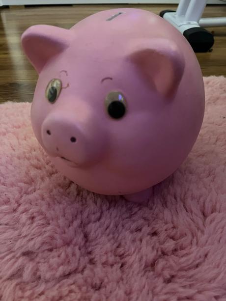 Pokladnicka prasiatko velka, 