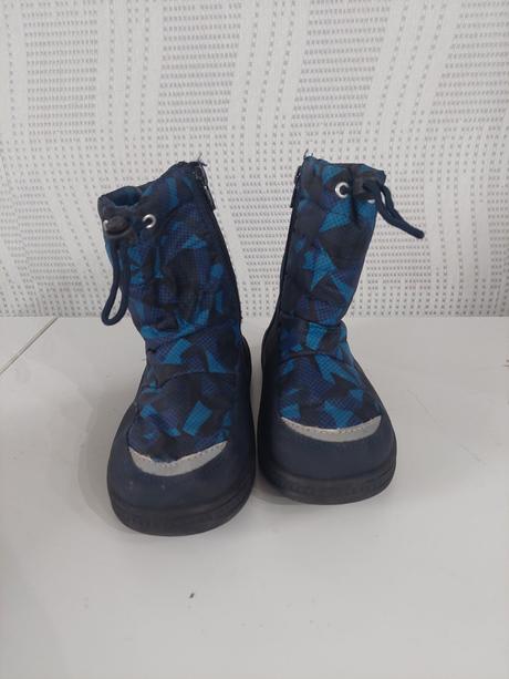 Snehule, topolino,29