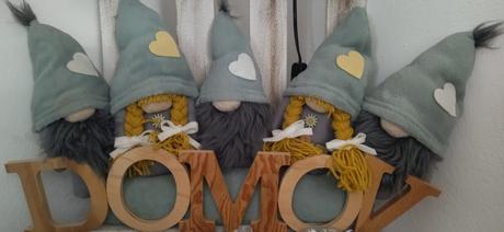 5 x škriatok s nápisom domov,