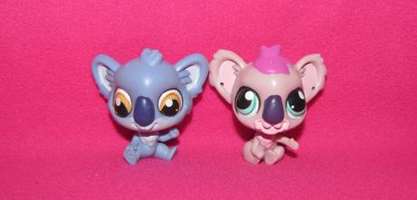 Lps koala, 