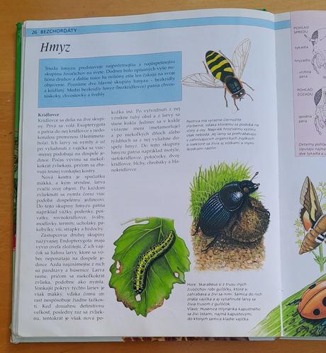 Stručná detská encyklopédia prírody,