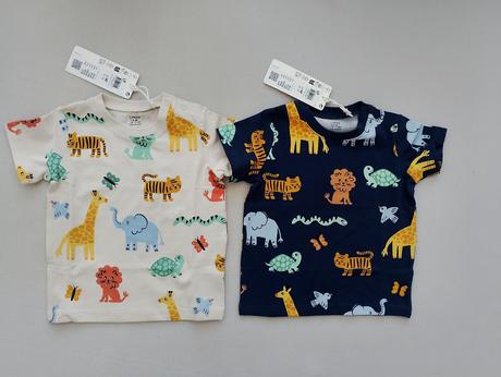 Set safari, lindex,68