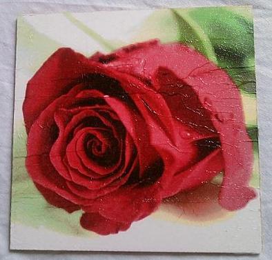 Obrázok červená ruža,