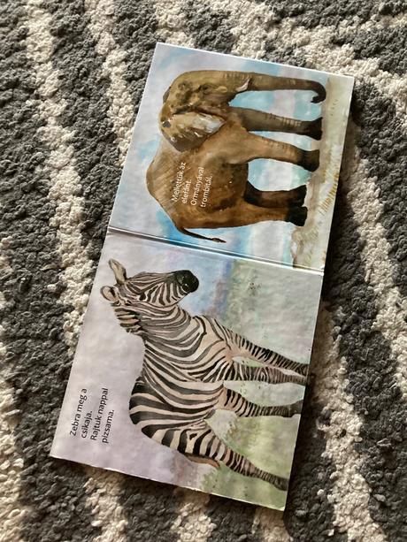 Leporelá állatkertben, autó parádé, 