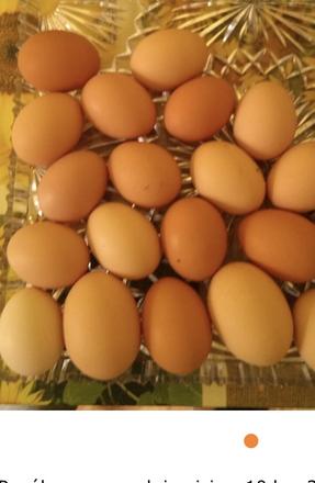 Domáce vajcia,
