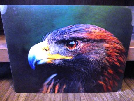 Pohyblivé obrazy 3d, 