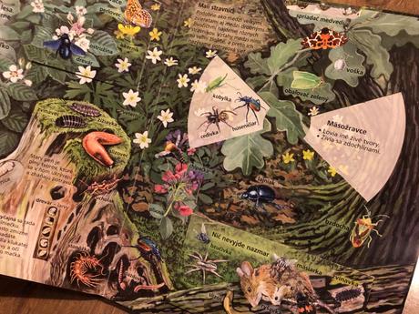 V našom lese - interaktívna knižka,