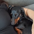 spolu