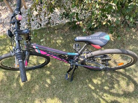 Bicykel dema pegas 24 šedý-ružový, dema,24