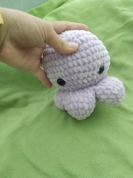 Veľká chobotnička, 