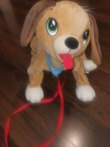 Floppy pes - osobny odber, 