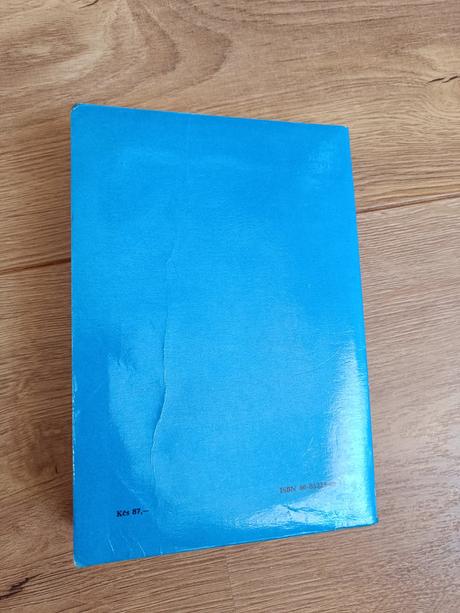 Strucny prehlad anglickej gramatiky, 