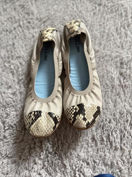 Baleriny pollini, 38