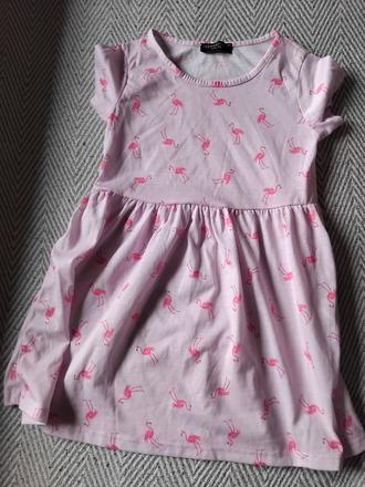 Plameniakove šaty, 116