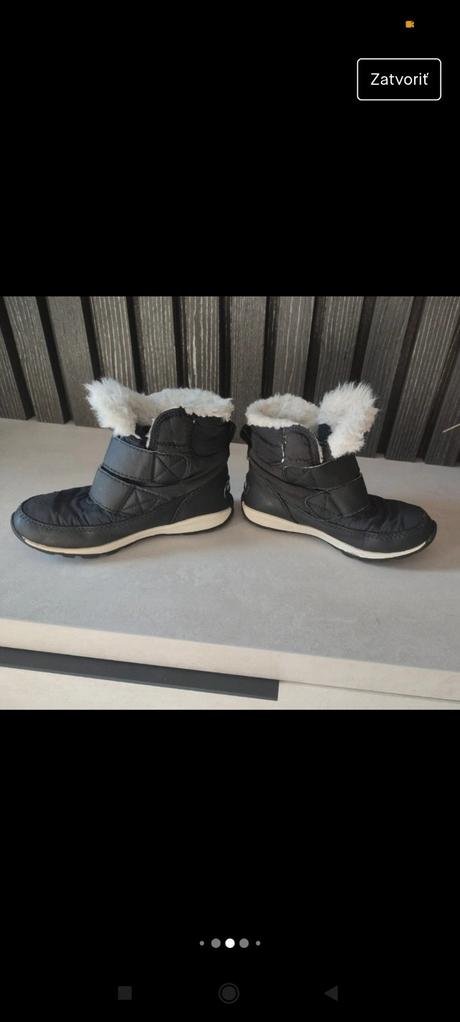 Snehule sorel, sorel,28
