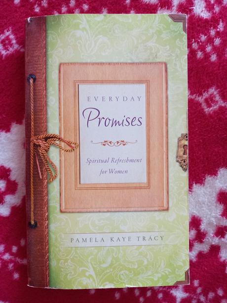 Kniha everyday promises, 