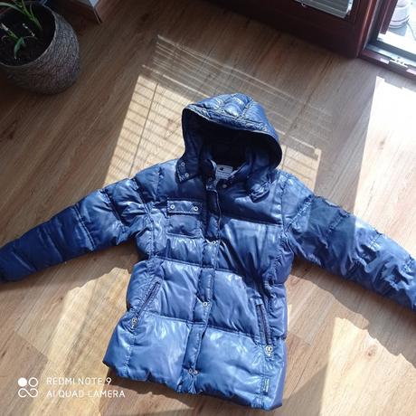 Champion bunda, champion,s