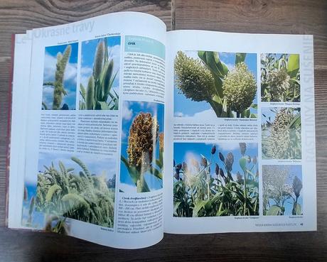 Veľká kniha sušených rastlín, 