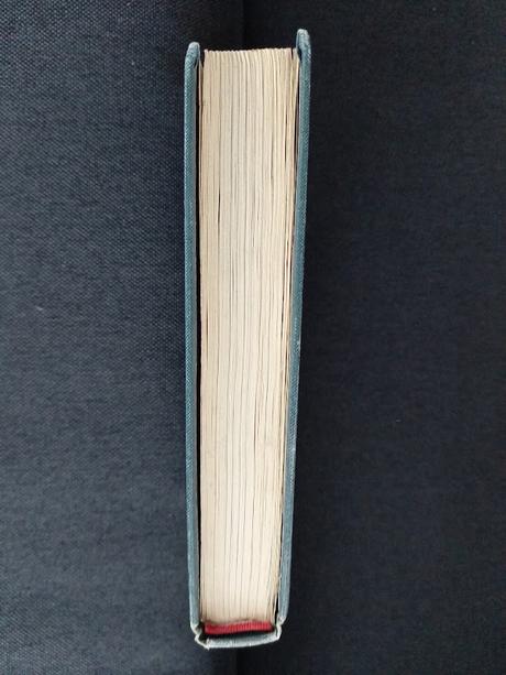 Pani bovaryová-gustave flaubert,