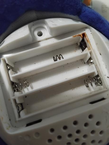 Korytnacka na kočik, 