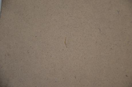 Pokladnička,mačička,