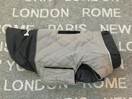 Bunda pre stredneho psa, 