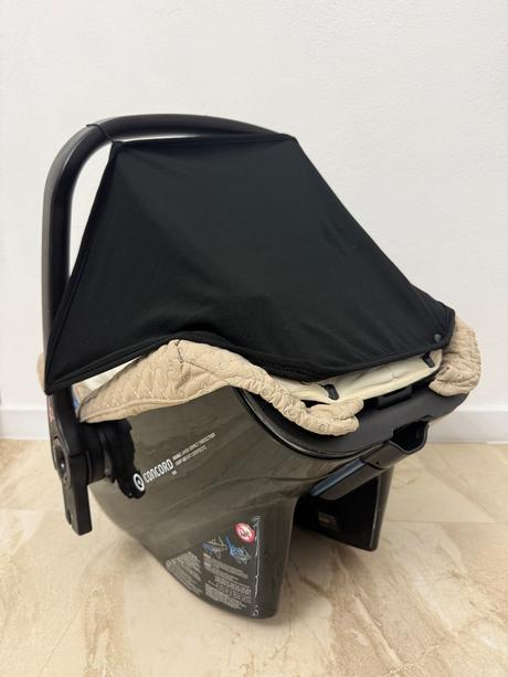 Vajíčko concord, concord