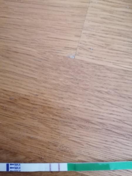 Je ovulačný test pozitívny?