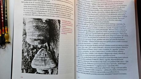 Kniha 'tajomné huby', pavol škubla, 