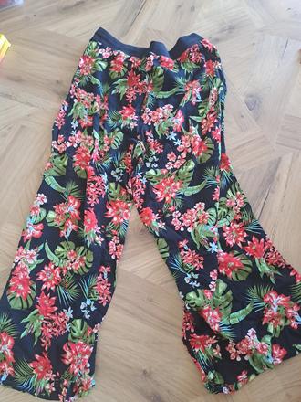 Exotické nohavice, 36