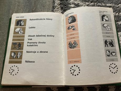 Cesta za adamom (1983), 